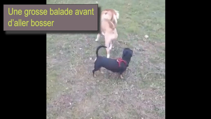 Mandoo gestion de la solitude